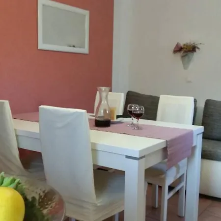 Flowers House On The Island Dugi Otok アパート