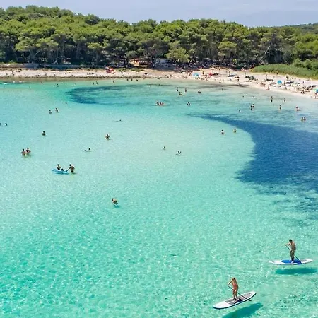 Flowers House On The Island Dugi Otok *