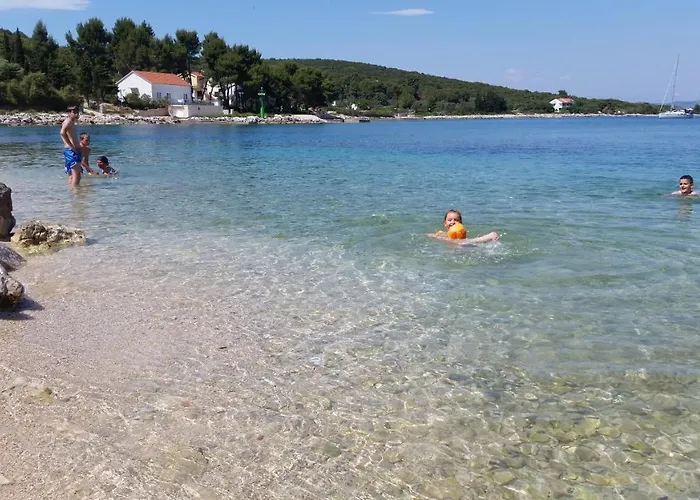 Flowers House On The Island Dugi Otok Διαμέρισμα *